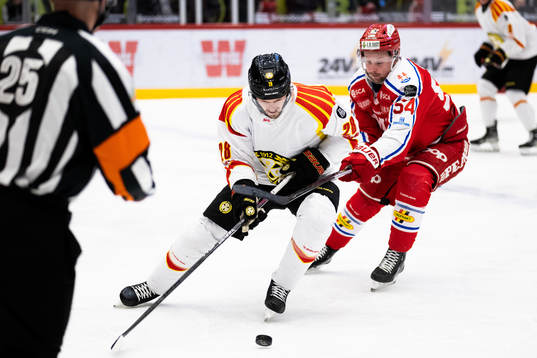 Brynäs Johannes Kinnvall och Timrås Jonathan Dahlén