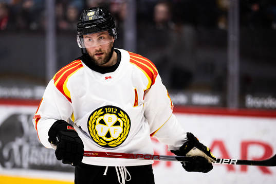 Brynäs Johan Larsson