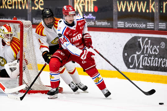 Timrås Olli Palola och Brynäs Theo Lindstein