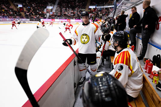 Brynäs Samuel Johannesson