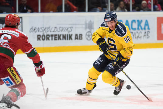 Södertäljes Georgs Golovkovs