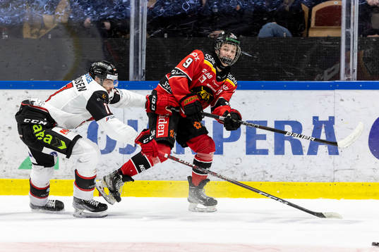 Luleås Isac Hedqvist och Malmö Redhawks Markus Lauridsen
