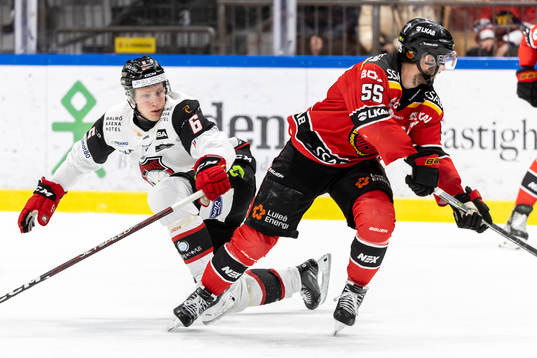 Luleås Filip Pyrochta och Malmö Redhawks Theodor Johnsson