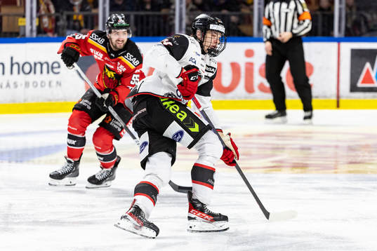 Malmö Redhawks Anton Wahlberg