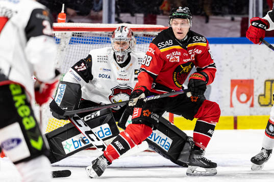 Luleås Joonas Rask och Malmö Redhawks målvakt Brandon