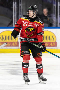 Luleås Marcel Stefancik