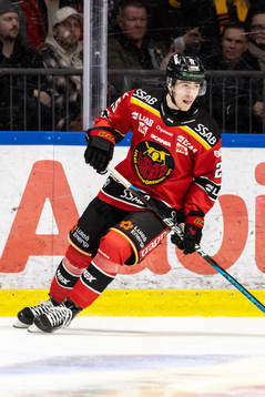 Luleås Marcel Stefancik