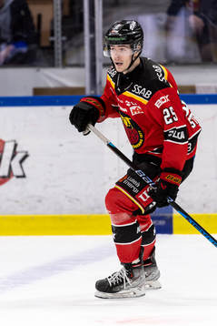 Luleås Marcel Stefancik