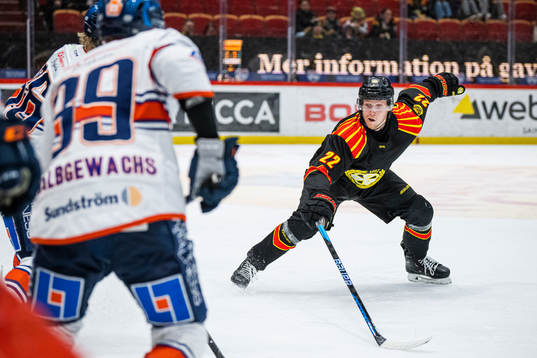 Brynäs Axel Eriksson