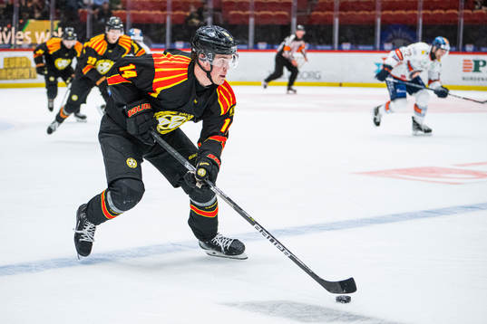 Brynäs Alexander Ljungkrantz