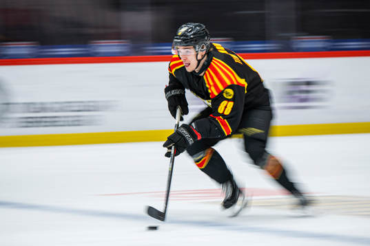 Brynäs Dmytro Timashov