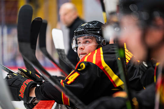Brynäs Alexander Ljungkrantz