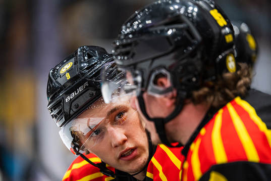 Brynäs William Strömgren