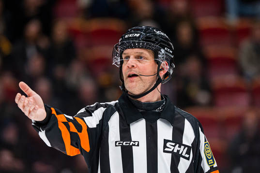 Domare Mikael Nord