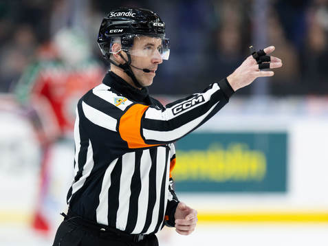 Domare Linus Öhlund