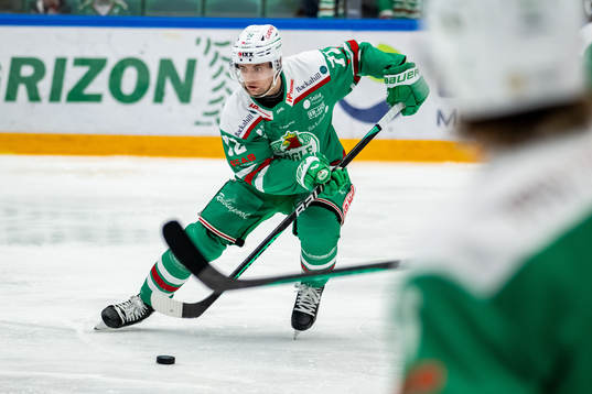 Rögles Daniel Zaar