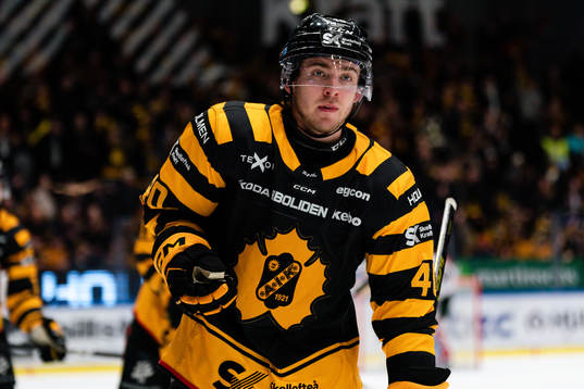 Skellefteås Andreas Wingerli