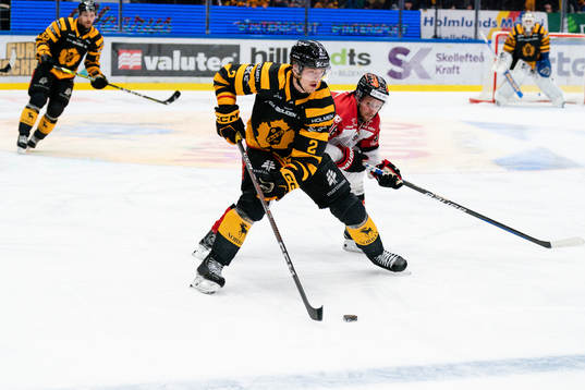 Skellefteås Linus Högberg