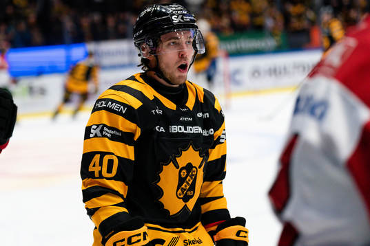 Skellefteås Andreas Wingerli