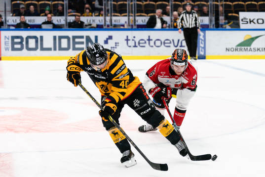 Skellefteås Andreas Wingerli och Örebros Filip Berglund