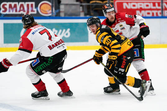 Skellefteås Andreas Wingerli och Örebros Filip Berglund
