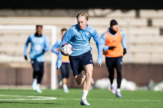 Daniel Gudjohnsen