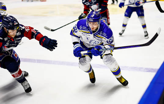 Leksands Mikael Ruohomaa