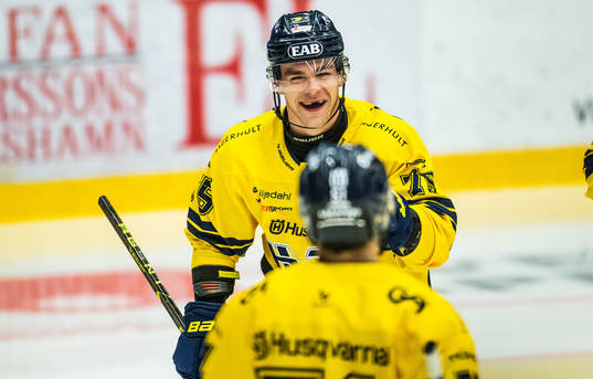 HV71s Radan Lenc jublar