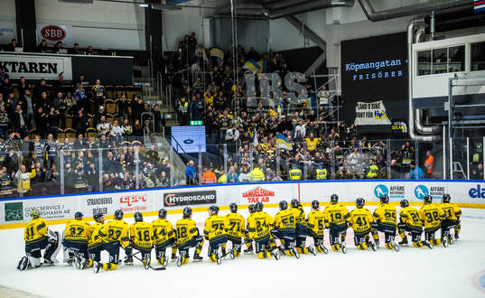 HV71s jublar