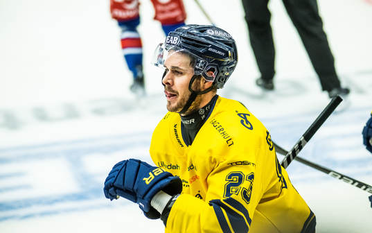 HV71s Nicholas Shore jublar