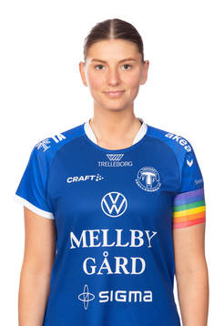 Trelleborgs Saga Ollerstam