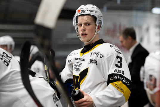Västerås Ludvig Östman