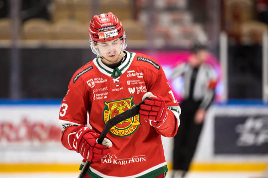 Moras Fabian Ilestedt deppar