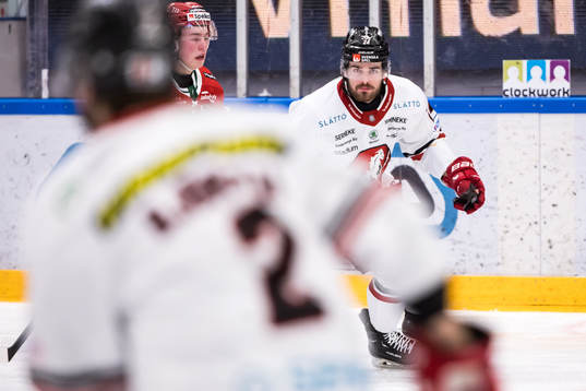 Vita Hästens Arvid Degerstedt