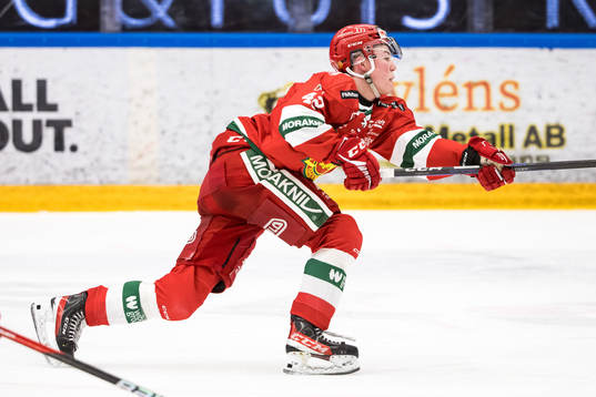 Moras Petter Vesterheim