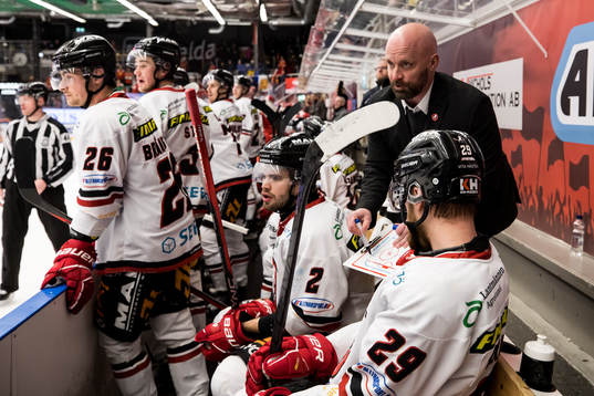 Vita Hästens assisterande tränare Tim Brithen