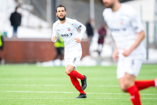 Helsingborgs Sumar Almadjed