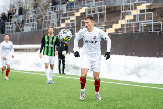 Helsingborgs Erik Ring