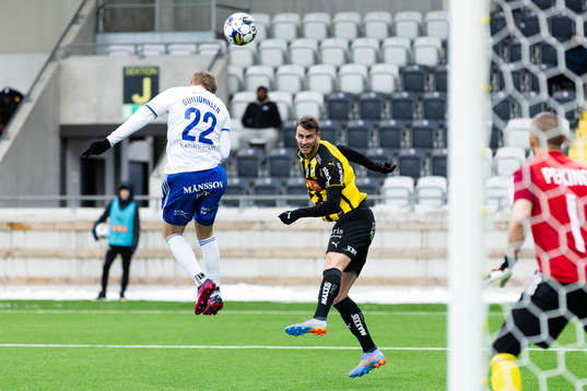 Häckens Johan Hammar