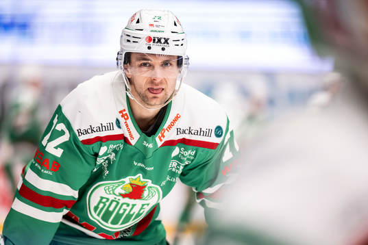 Rögles Daniel Zaar