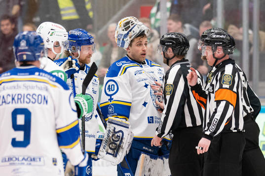 Leksands målvakt Mantas Armalis i samtal med domarna