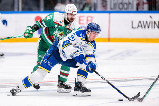 Rögles Ludvig Larsson och Leksands Carter Ashton