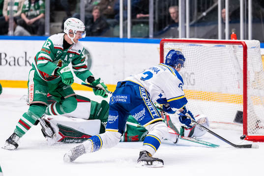 Leksands Mikael Ruohomaa oroar mot Rögles Brady Ferguson