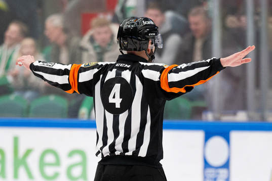 Domare Marcus Linde dömmer bort Rögles 2-1 mål