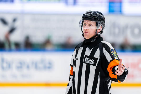Domare Mikael Holm