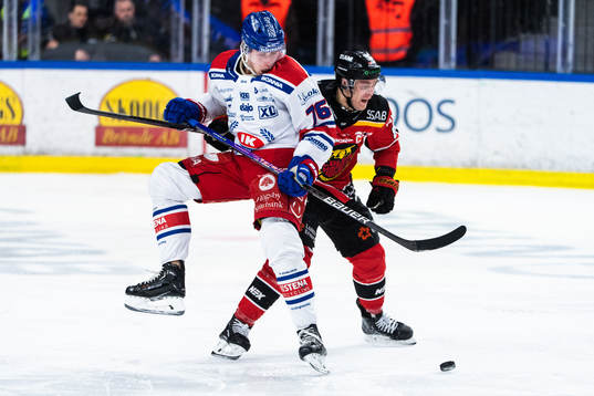 Oskarshamns Emil Lilleberg och Luleås Joonas Rask