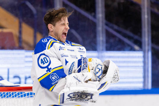Leksands målvakt Mantas Armalis har ont