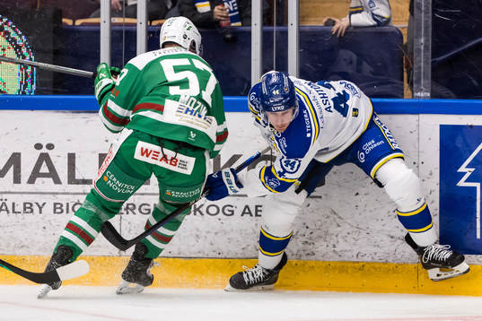 Leksands Carter Ashton