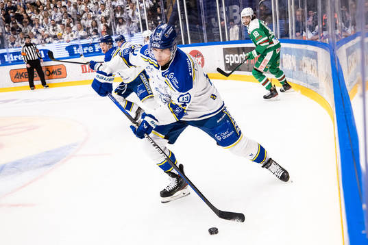 Leksands Jon Knuts