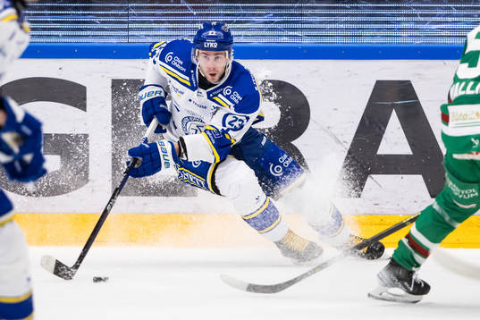 Leksands Mikael Ruohomaa